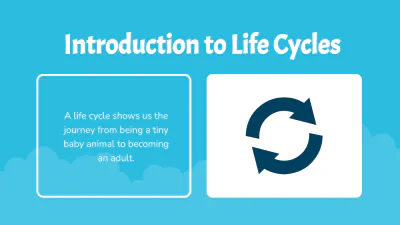 Free Different Animals' Life Cycles to Edit Online