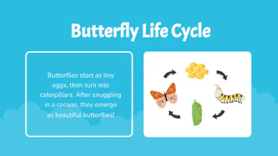 Free Different Animals' Life Cycles to Edit Online