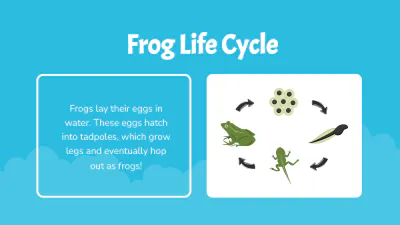 Free Different Animals' Life Cycles to Edit Online