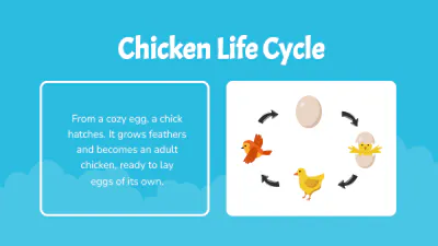 Free Different Animals' Life Cycles to Edit Online
