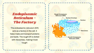 Free Cell Organelles to Edit Online