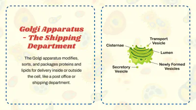 Free Cell Organelles to Edit Online