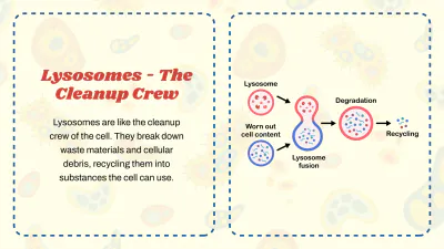 Free Cell Organelles to Edit Online