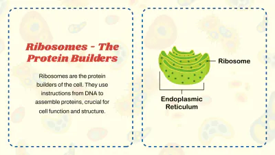 Free Cell Organelles to Edit Online