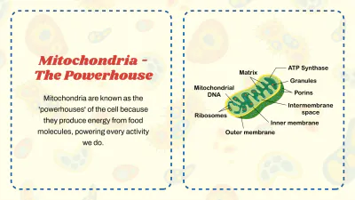 Free Cell Organelles to Edit Online