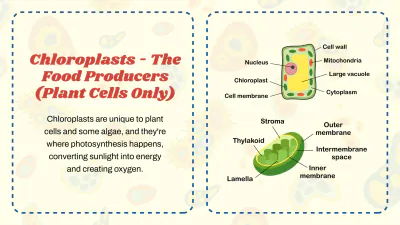 Free Cell Organelles to Edit Online