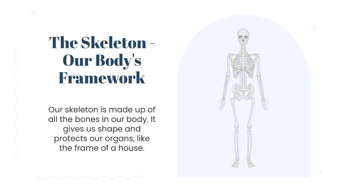Free Human Organs and Their Functions Template to Edit Online