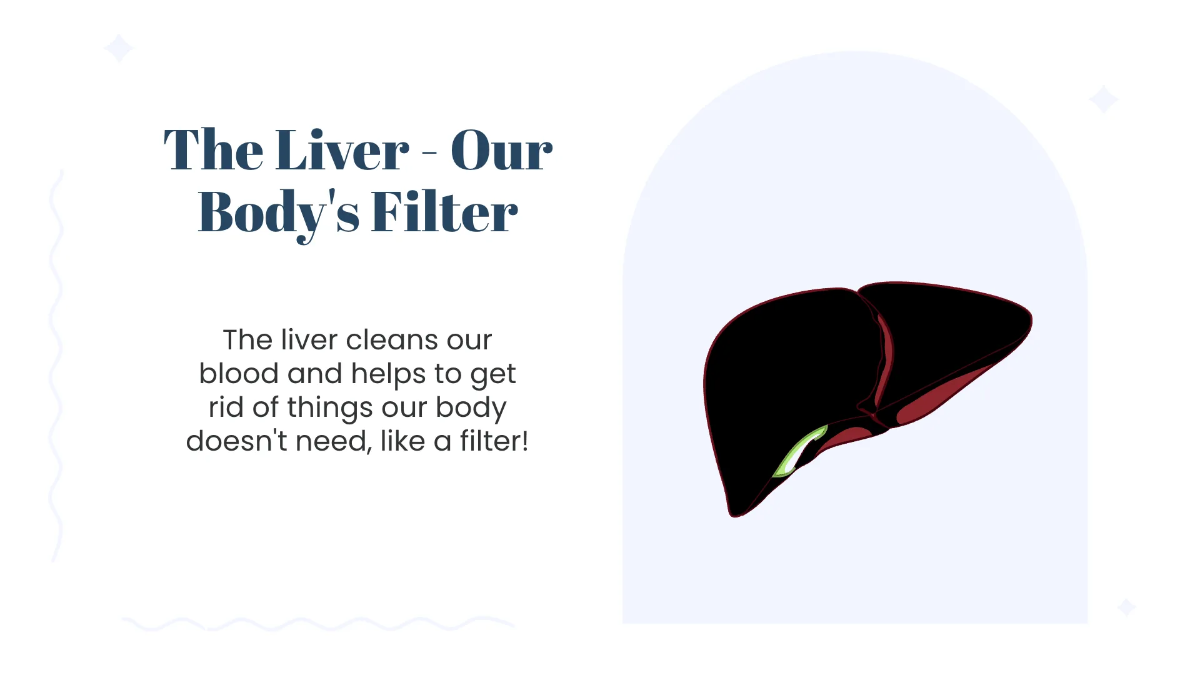 Free Human Organs and Their Functions Template to Edit Online