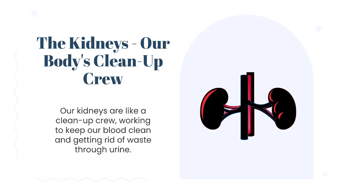 Free Human Organs and Their Functions Template to Edit Online