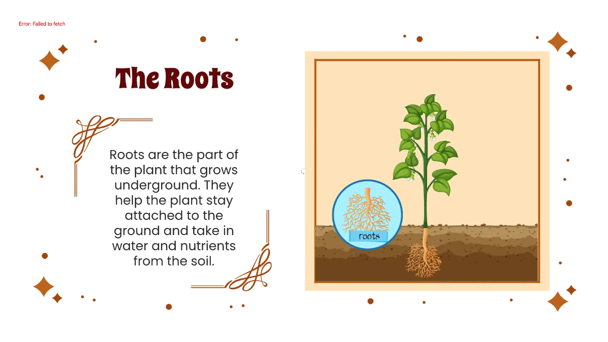 Free Identify Plant Parts and Their Functions Template to Edit Online