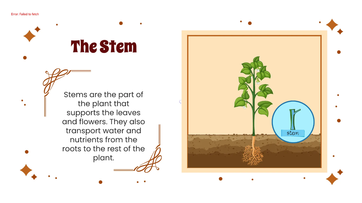 Free Identify Plant Parts and Their Functions Template to Edit Online