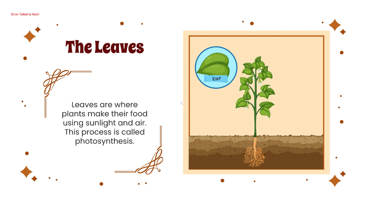 Free Identify Plant Parts and Their Functions Template to Edit Online