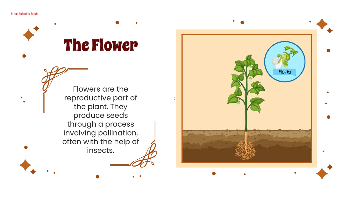 Free Identify Plant Parts and Their Functions Template to Edit Online