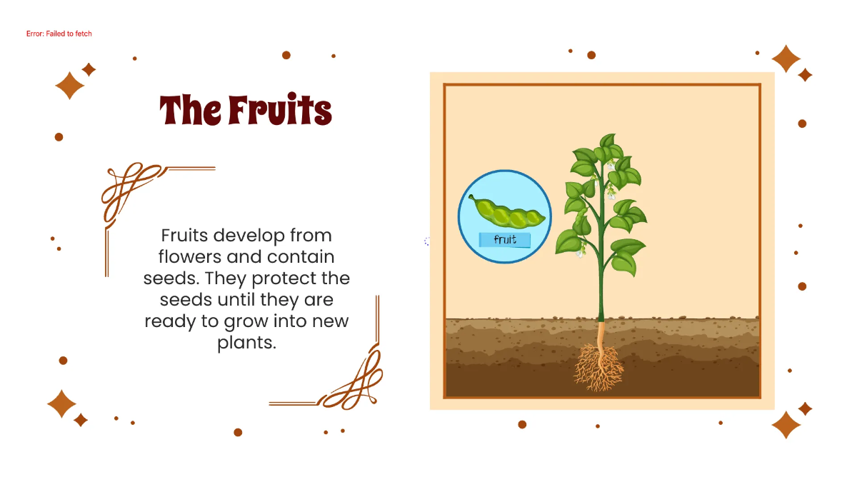 Free Identify Plant Parts and Their Functions Template to Edit Online