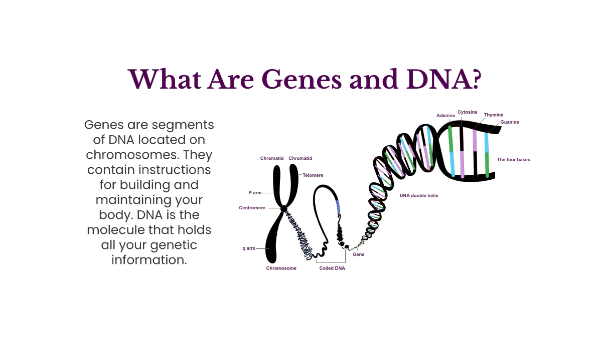 Free Genetic Variation and Inheritance Template to Edit Online