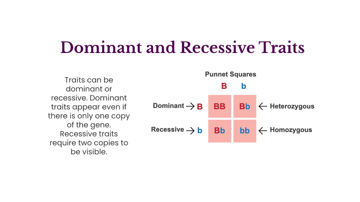 Free Genetic Variation and Inheritance Template to Edit Online
