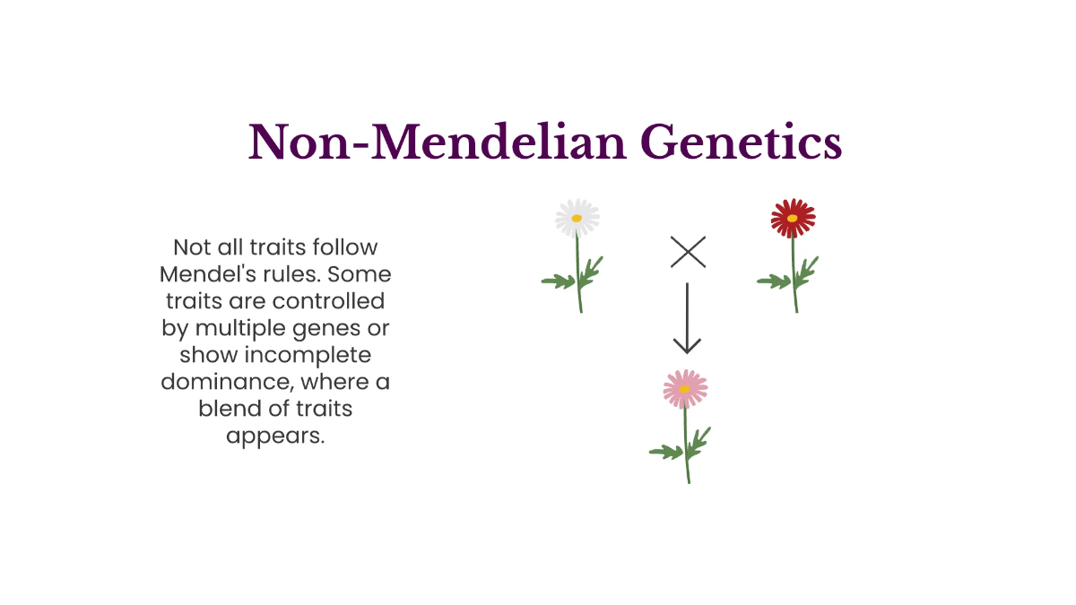 Free Genetic Variation and Inheritance Template to Edit Online