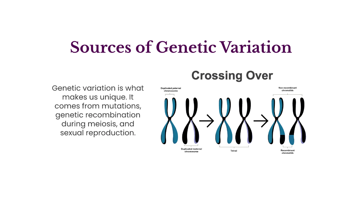 Free Genetic Variation and Inheritance Template to Edit Online