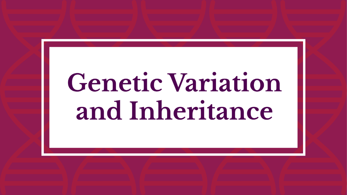 Genetic Variation and Inheritance