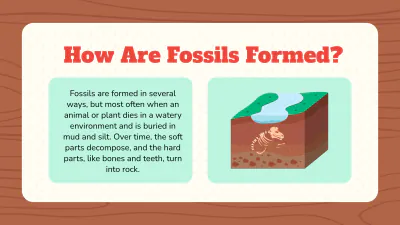 Free Introduction to Fossils to Edit Online
