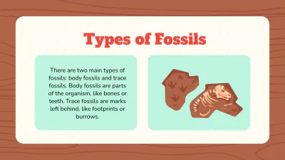 Free Introduction to Fossils to Edit Online