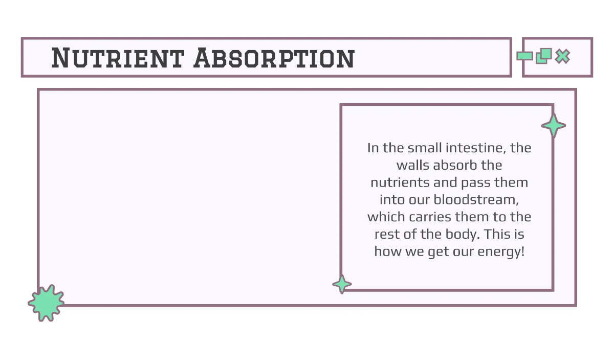 Free Body Systems:Digestion Template to Edit Online