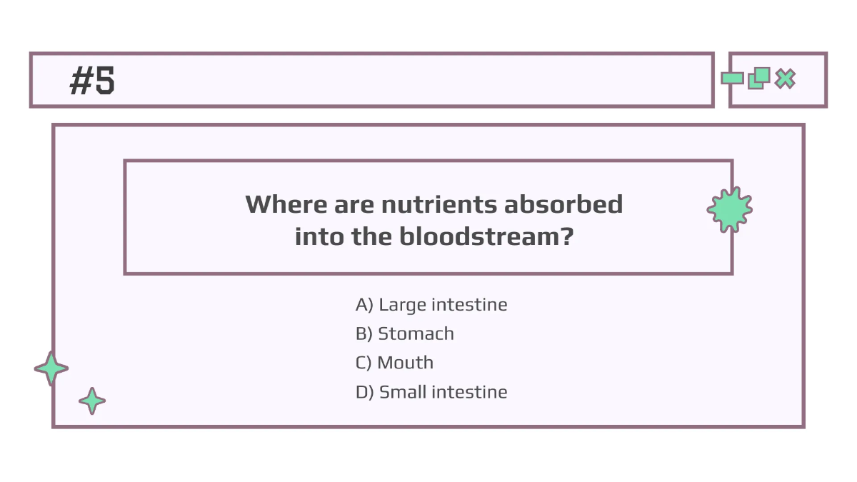 Free Body Systems:Digestion Template to Edit Online