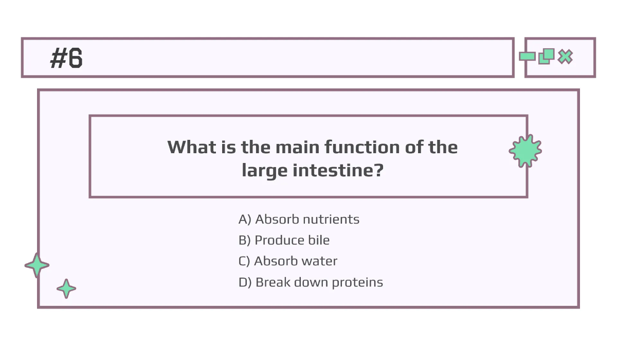Free Body Systems:Digestion Template to Edit Online