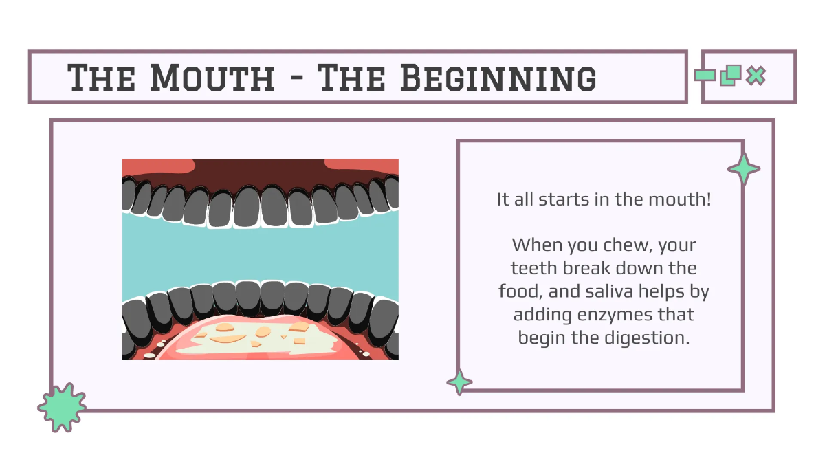 Free Body Systems:Digestion Template to Edit Online