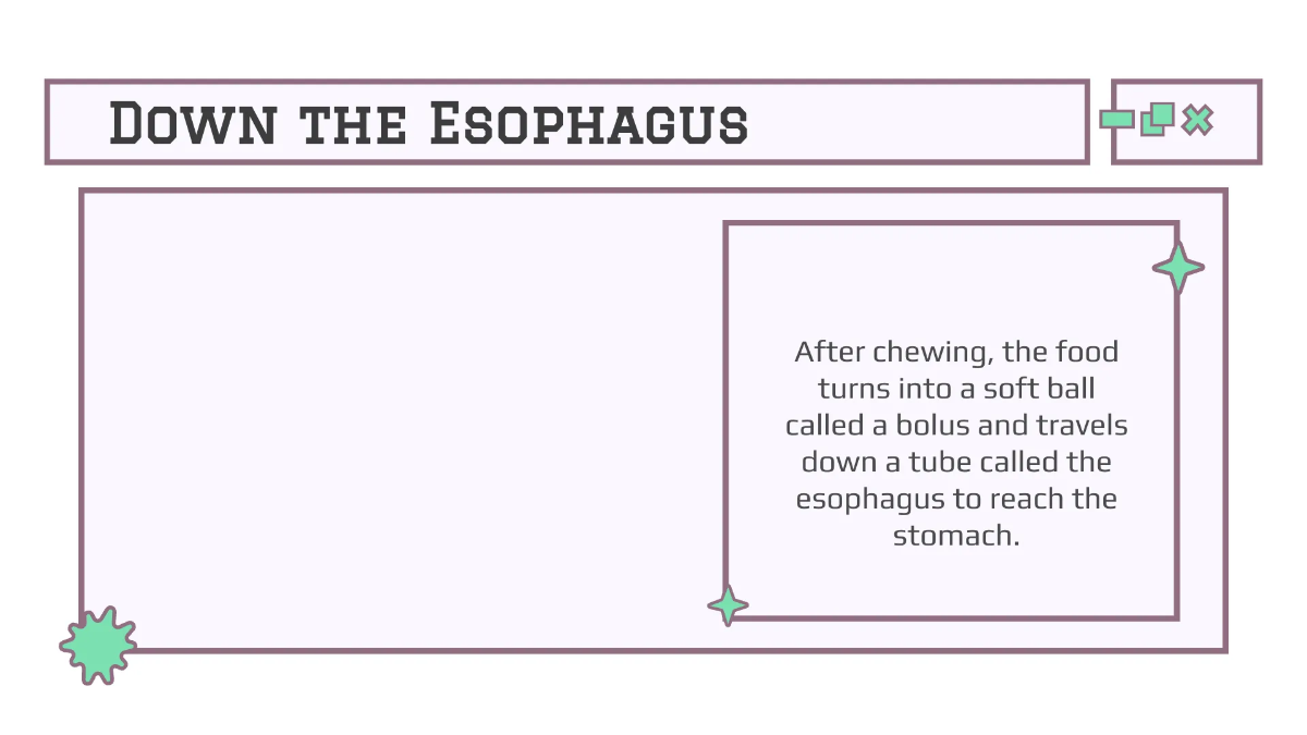 Free Body Systems:Digestion Template to Edit Online