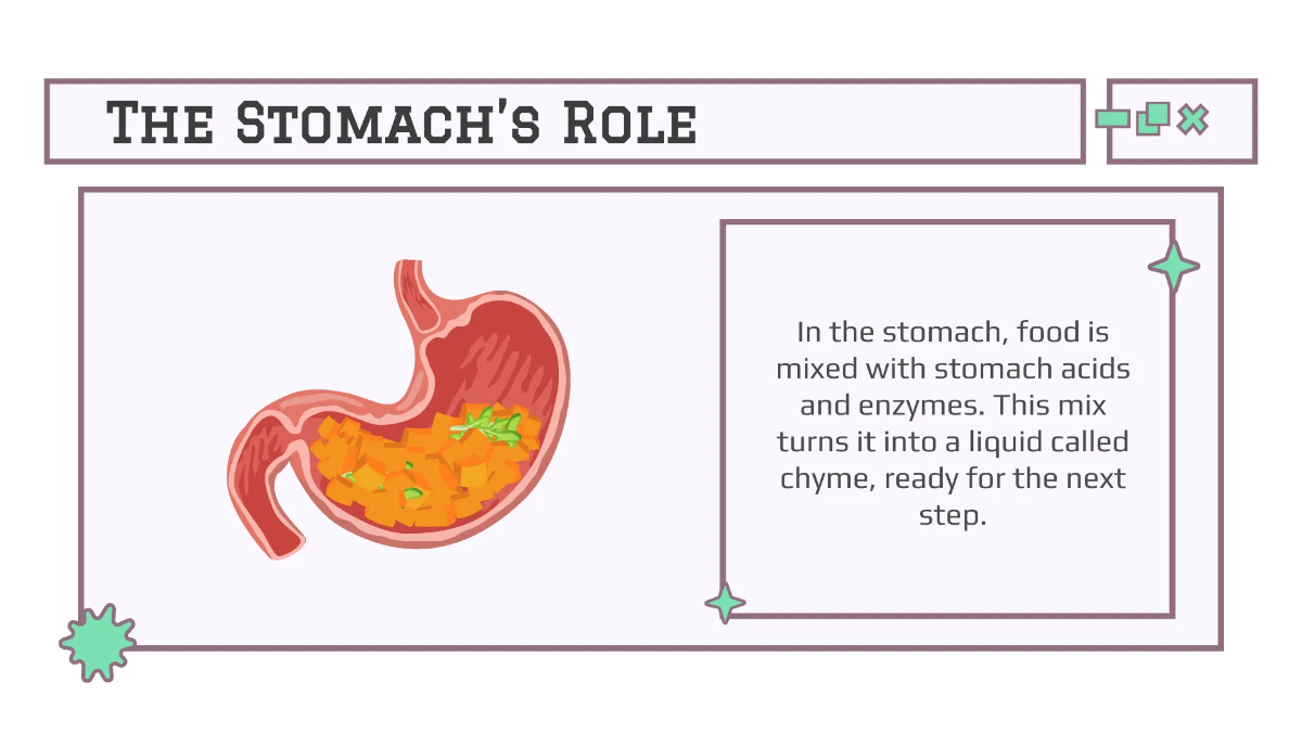 Free Body Systems:Digestion Template to Edit Online