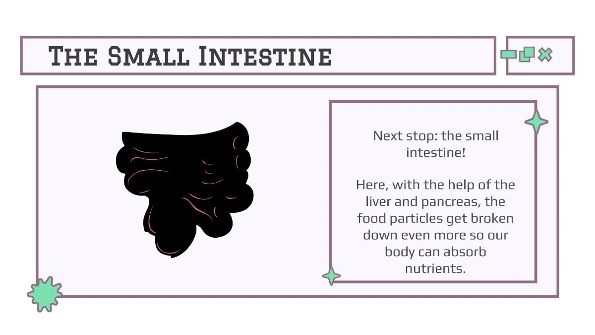 Free Body Systems:Digestion Template to Edit Online