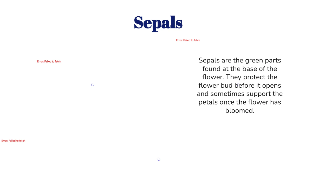 Free Identify Flower Parts and Their Functions Template to Edit Online