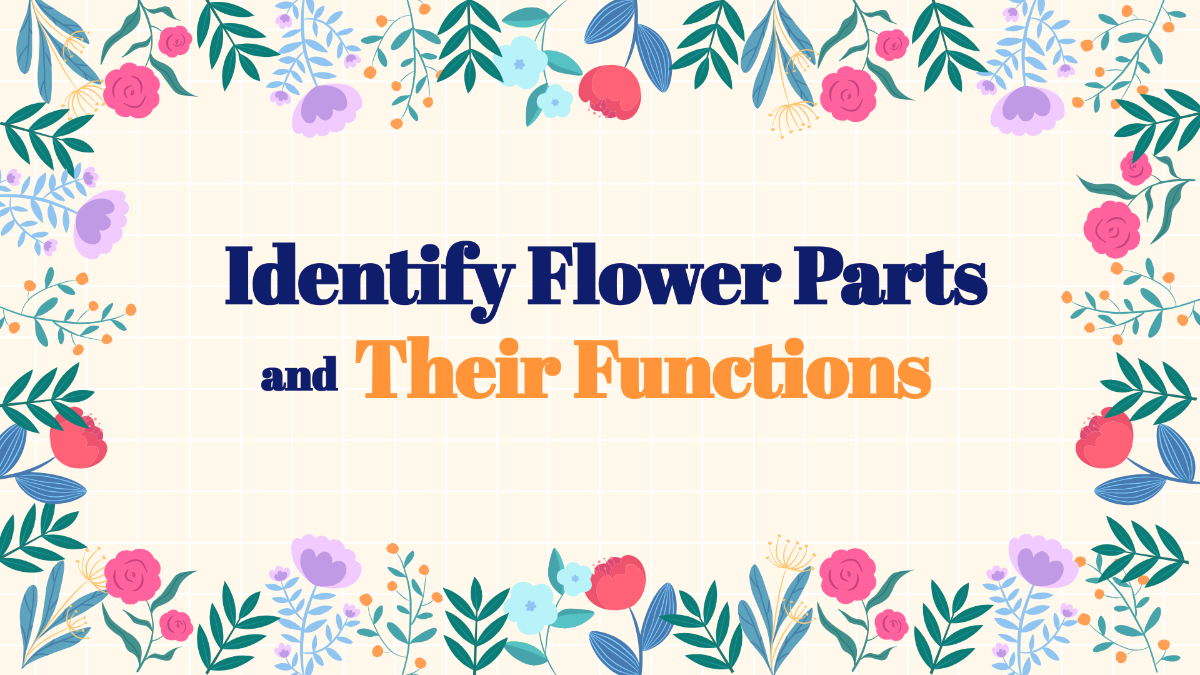 Identify Flower Parts and Their Functions