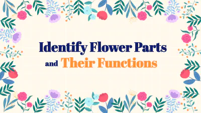 Free Identify Flower Parts and Their Functions to Edit Online