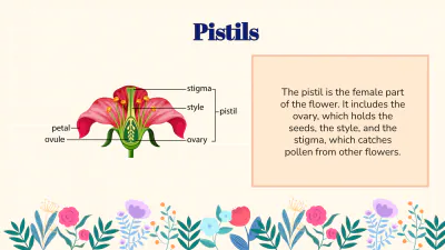 Free Identify Flower Parts and Their Functions to Edit Online