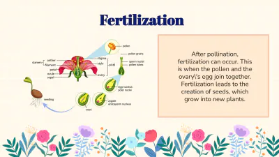 Free Identify Flower Parts and Their Functions to Edit Online