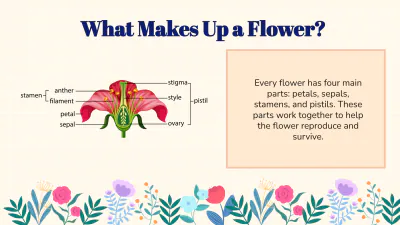 Free Identify Flower Parts and Their Functions to Edit Online