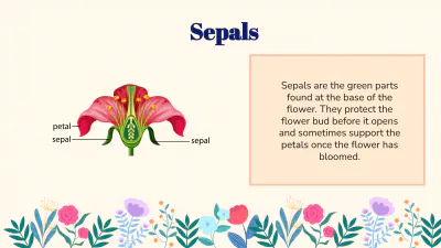 Free Identify Flower Parts and Their Functions to Edit Online