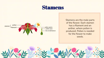 Free Identify Flower Parts and Their Functions to Edit Online