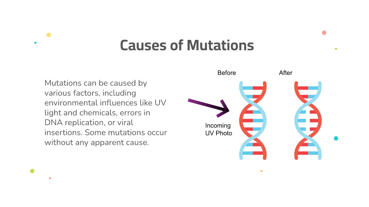 Free Mutations and Genetic Disorders Template to Edit Online