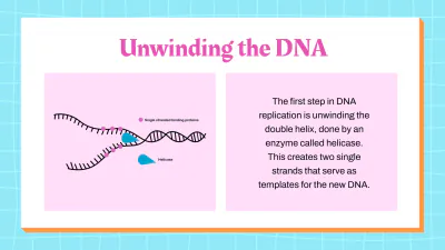 Free DNA Structure and Replication to Edit Online