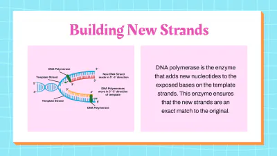 Free DNA Structure and Replication to Edit Online