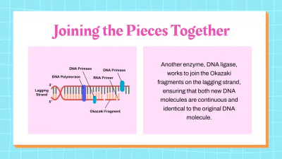 Free DNA Structure and Replication to Edit Online
