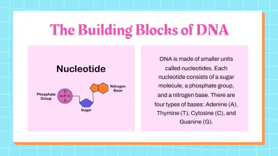 Free DNA Structure and Replication to Edit Online