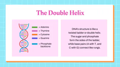 Free DNA Structure and Replication to Edit Online