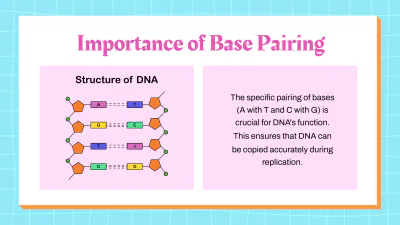 Free DNA Structure and Replication to Edit Online