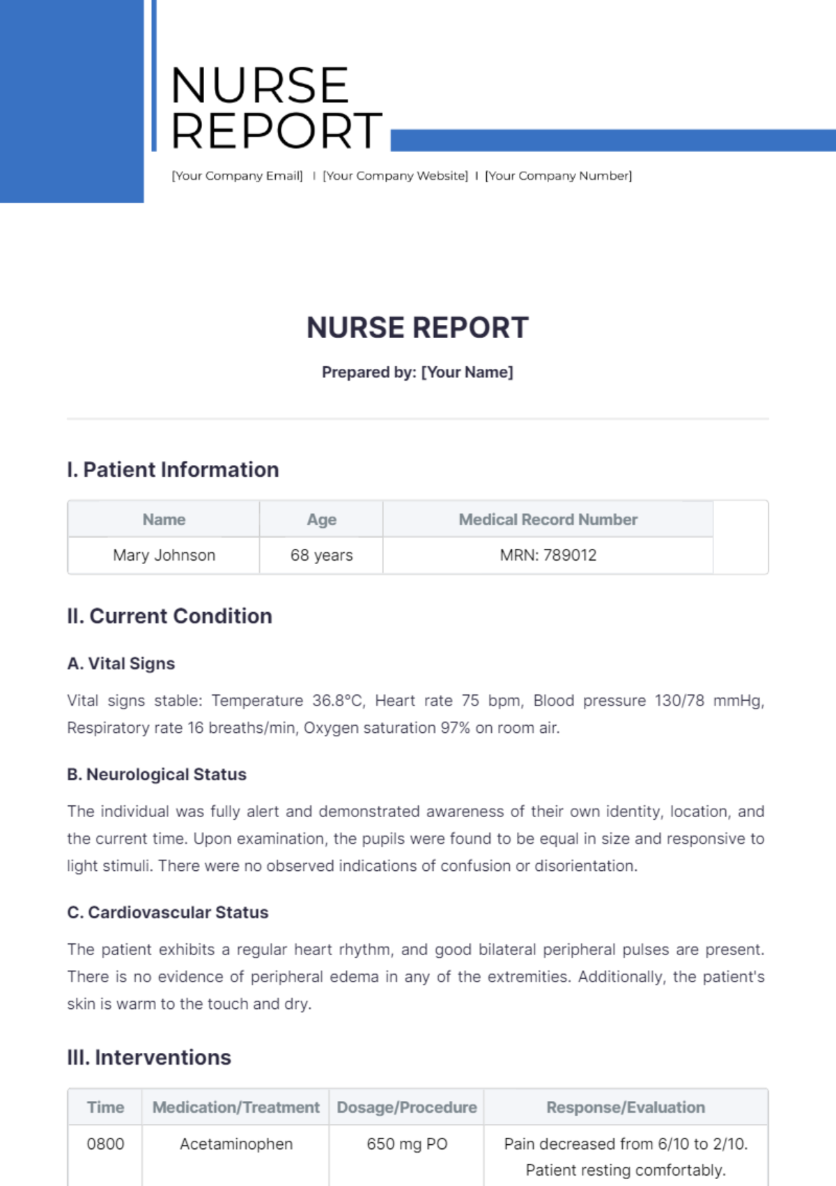 Nurse Report Template - Edit Online & Download