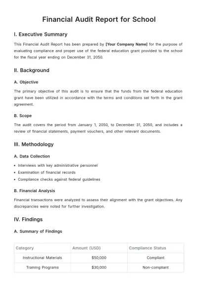 Free Financial Audit Report for School Template to Edit Online