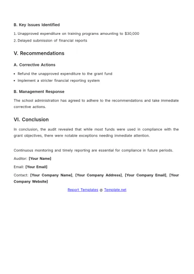Free Financial Audit Report for School Template to Edit Online